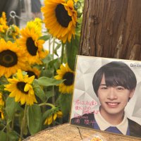 りん (@2n0kura) 's Twitter Profile