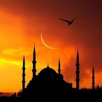 Yusuf (Ø,G). Meshchain.Ai Kaisar (@yusufiy55) 's Twitter Profile