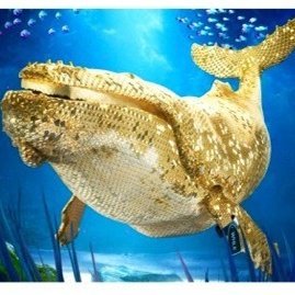 Golden Whale Solana Projects Discord Management Team Partner Exec Committee Ambassador Lead Mod How Can I Help Your Project & What Do I Whale Into Today? +