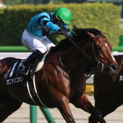 chi_umap's profile picture. 自分の写真の腕を腕を上げるために始めたアカウントです。よかったらフォローして下さい。無言フォロー大歓迎。たぶん馬成分多め。最推しはオニャンコポン（エイシンフラッシュ産駒）【写真の無断転載禁止】 主な機材:Canon 90D,Canon 5DMark4,EF_70-200f2.8