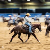 Cowsquirrel (@emmalyelizabeth) 's Twitter Profile Photo