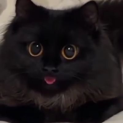 58_windsrN's profile picture. akun jualan.