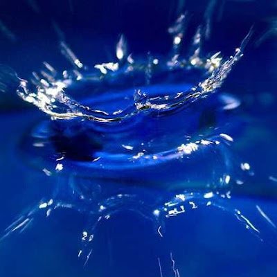 ParthoChou35751's profile picture. 