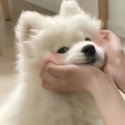บพ.さんのプロフィール画像
