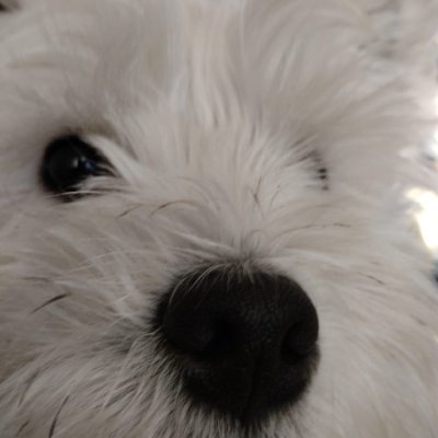 CaetanoMis91787's profile picture. Fortnite competitive player 

IGL
🇵🇹