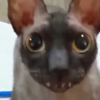 h_cameon's profile picture. 