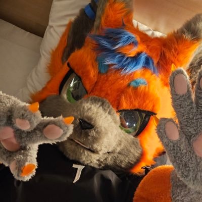 iiTzWo1fy's profile picture. 是隻黑雪家的色情狼鯊 horny🐺🦈 ❤️@CanisVt_0914 tg: https://t.co/8mxVYcDlZr English ⭕️中文⭕️日文❌Furry_Wolfy 本體：小恩/狄恩