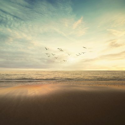 mgp_cok's profile picture. 