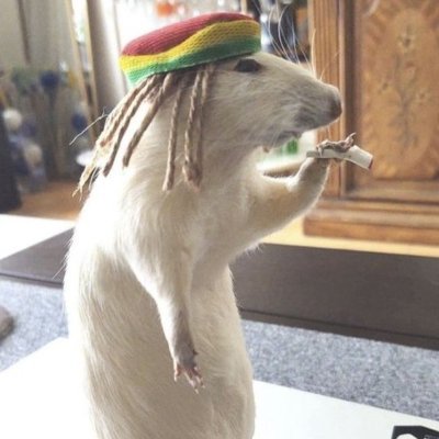 euxfn_'s profile picture. Christ is king