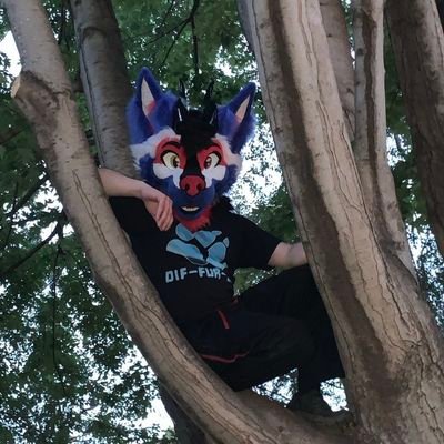 LyrusFireWolf's profile picture. Work in progress. Just another Bork Doggo doing doggo things.