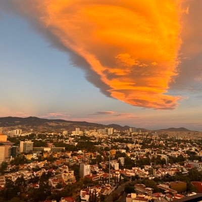 ABCOCA's profile picture. I like hamburgers 🍔