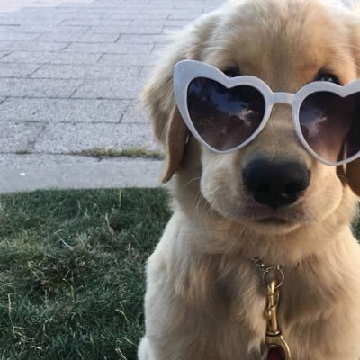 nknnkt's profile picture. .