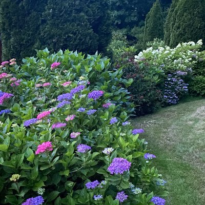 SUPEROOP812's profile picture. doing  my best, to make a better world