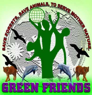 greenfriend2k11's profile picture. 