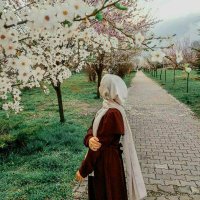 z_naserie (@z_naserii) 's Twitter Profile