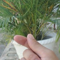 ☘️ITSME🍀 (@itsmeyour_) 's Twitter Profile