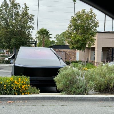 JoseDan64480185's profile picture. 