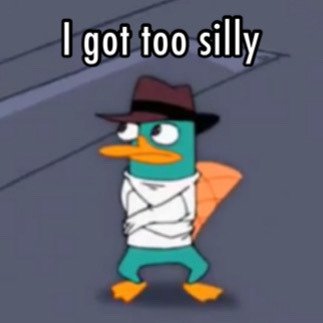 Perryfighter