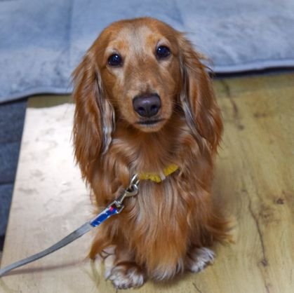 ganache_PCA's profile picture. ガナッシュと申します
色々と経験していきます。
無言フォローいいね失礼します

共に盛り上げていきましょう

しっかり楽しみながら
やることを忘れないように😶

グルメ✨旅行✨お菓子✨料理✨
アニメ✨雑貨✨音楽✨家電✨