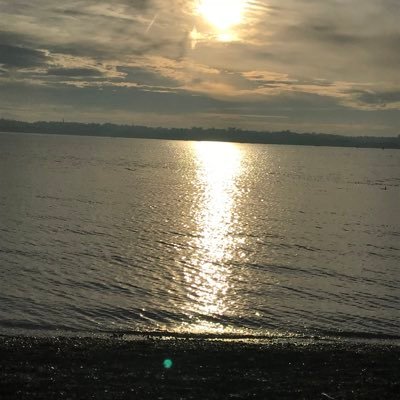 Shieldcode's profile picture. 