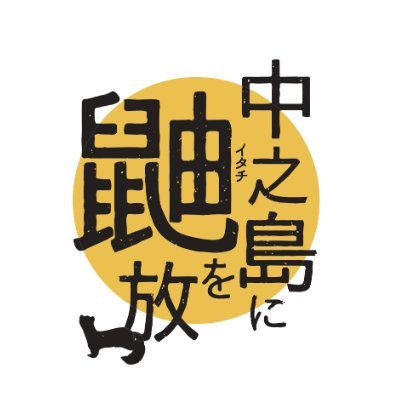 ou_itachi2022's profile picture. 大阪大学中之島芸術センター・大阪大学大学院人文学研究科・大阪大学総合学術博物館が主催する「 中之島に鼬を放つ―大学博物館と共創するアート人材育成プログラム」の公式アカウント。

（今年度の受講生募集は終了しています。）