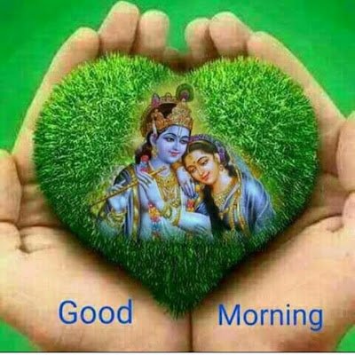 gupta_yage12614's profile picture. 
