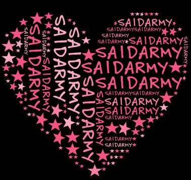 @RealSA1DArmy Emergency account set up when we reach Tweet Limit! Follow us on @RealSA1DArmy