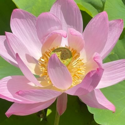 AadyaSunshine's profile picture. 