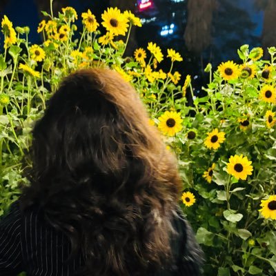 aashhiiiiii's profile picture. 