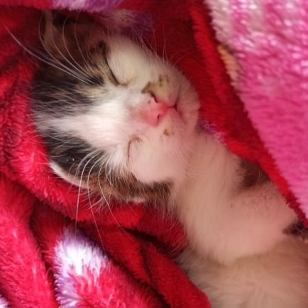 mar_njj's profile picture. .