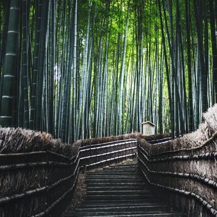 DisarmAndXcheck's profile picture. Female
UK