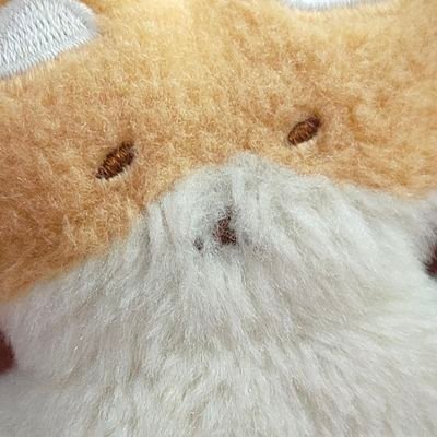 teolaegicandy's profile picture. 나의 변백현 사랑을 위해 ༊*·˚