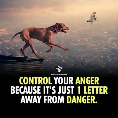 MbuguaTyler's profile picture. 