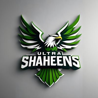 UltraShaheens's profile picture. "Passionate supporters of Pakistani football! Cheering loud, playing our part, and dreaming big for football's growth in Pakistan.⚽🇵🇰 #UltraShaheens #Football