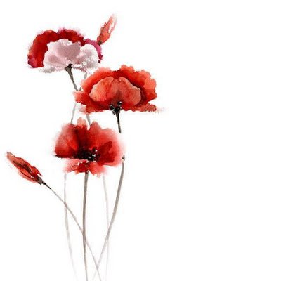 ZacharyHo26809's profile picture. 