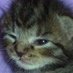☾¹² (@airkwann) Twitter profile photo ☾¹² (@airkwann) Twitter profile photo