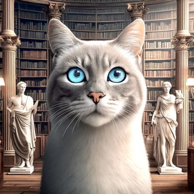 🌎🎬🎼🖼️Filósofo de corazón, predilección por Proust. Apasionado por el arte, museos, literatura y cine. Reflexivo. La curiosidad no mató al gato; lo cultivó.