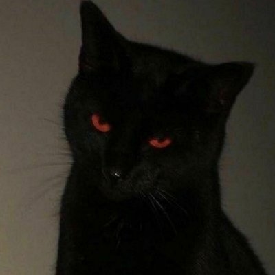 carlossilvalaur's profile picture. PSN: NeroRaiden
Xbox: Nero3703