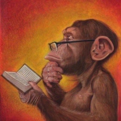 KezKefas's profile picture. whatever gets my attention 😴