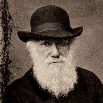 Im_not_Darwin's profile picture. من بی ادبی نوموکونم.
تعصبی هم ندارم.
منطقی ام.
حرف تکراری هم نمیزنم.