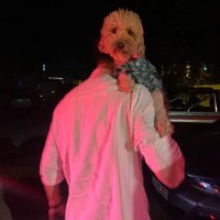 Fatih Esin (@dubforvet) 's Twitter Profile Photo