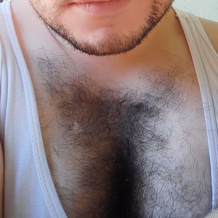 GommzEr's profile picture. 🐻