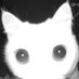 ansia pou (@txulag) Twitter profile photo ansia pou (@txulag) Twitter profile photo