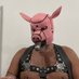 PigCigarDoc (@cigardoc3) Twitter profile photo PigCigarDoc (@cigardoc3) Twitter profile photo