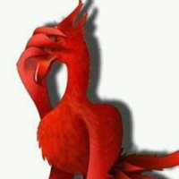 Scouser 5 (@scouser5) 's Twitter Profile