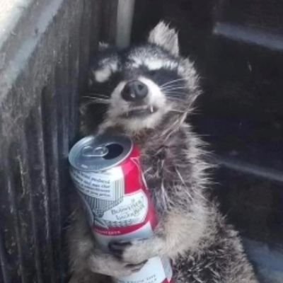 overlord of all racconsさんのプロフィール画像