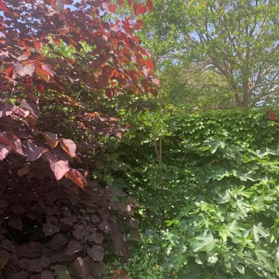 tennwriterret's profile picture. Newly retired in LA, returning to engaging cultural, political and economic thought.