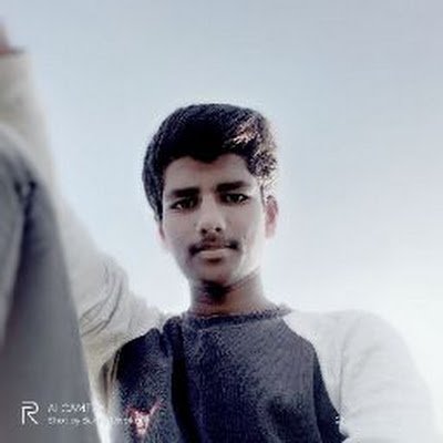 BunnyReddy7975's profile picture. 