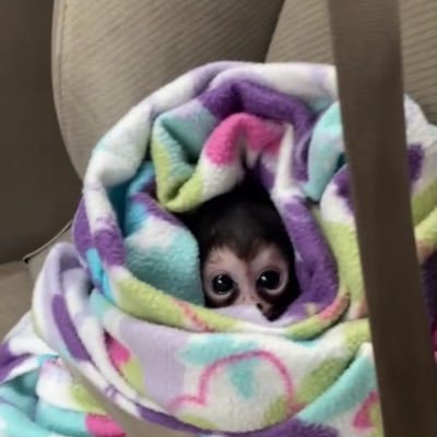 JFranklin62654's profile picture. 