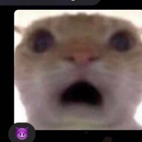 sotolo (@sotolo217758) 's Twitter Profile